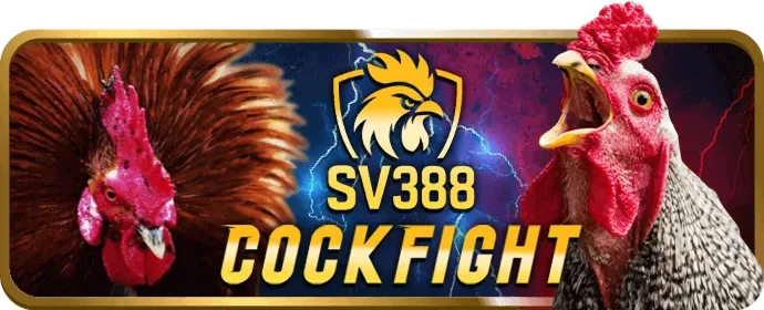 Mẹo cá cược thể thao tại 69vin chính thức